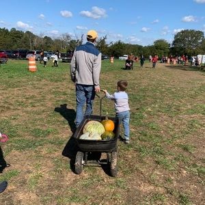 Meet your Posher, Mirendy